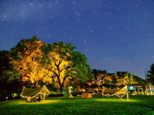 桂林桂林香格里拉（亲子酒店 恒温泳池）的一群帐篷在晚上在田野里