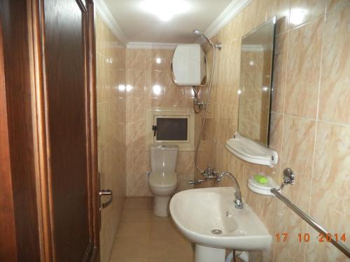 亚历山大阿尔米格拉比酒店的一间带水槽、卫生间和镜子的浴室
