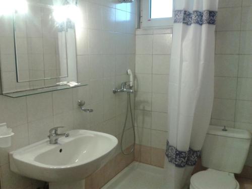 Loutrós伊西多拉酒店的一间带水槽、卫生间和淋浴的浴室