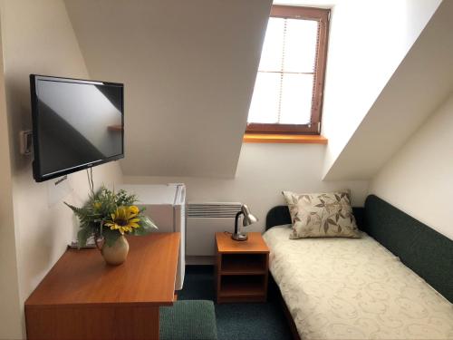 米库洛夫Garni pension U svatého Urbana的小房间设有一张床和一台平面电视