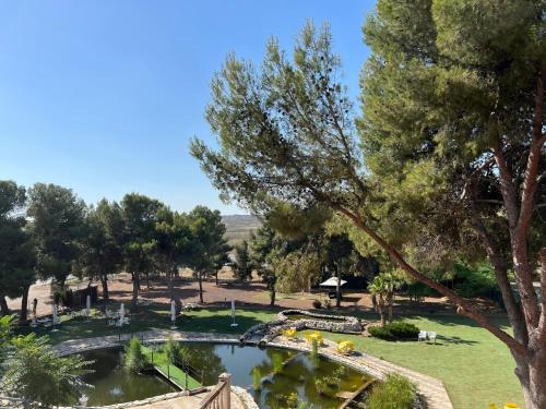 萨拉戈萨埃尔瑟斯尼酒店的享有公园美景,公园内有池塘和树木