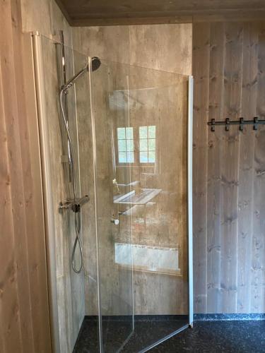 RandsverkJotunheimen Husky Lodge的浴室里设有玻璃门淋浴