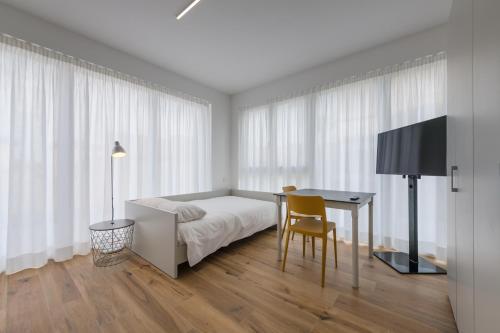 门德里西奥Modern Studios Mendrisio的一间卧室配有一张床、一张书桌和一台电视。