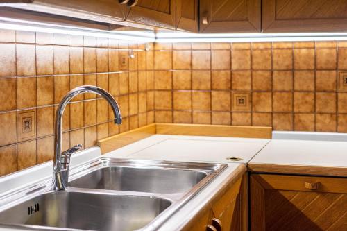 坎皮泰洛迪法萨Rodella A Parte的厨房配有不锈钢盥洗盆和木柜