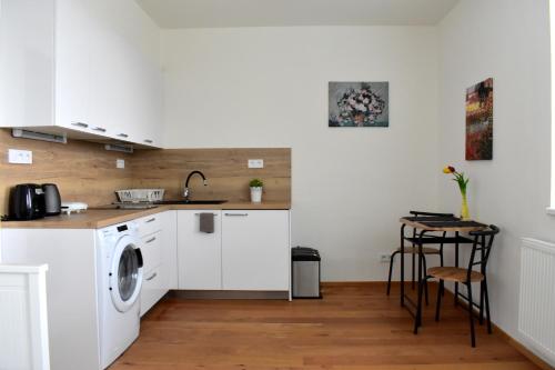 布拉格Airstay Prague apartment: Grebovka的厨房配有水槽和洗衣机