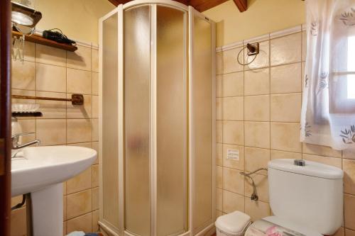 克鲁兹·德·特赫达Casita Bentayga的带淋浴、卫生间和盥洗盆的浴室