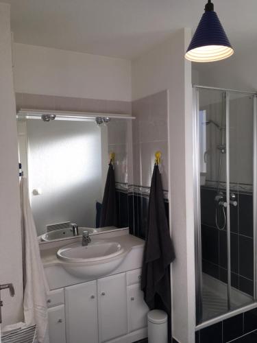 康博莱班Eric's Appartement -Charmant T2 -的一间带水槽和淋浴的浴室