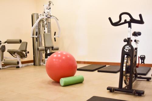 圣卡洛斯-德巴里洛切Huinid Pioneros Hotel的健身房设有运动球和健身自行车
