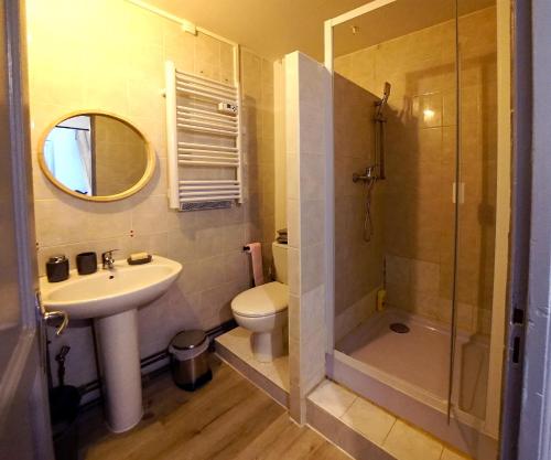 康斯拉维利Appartement au coeur de Cours La Ville的一间带水槽、卫生间和淋浴的浴室