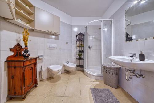 布鲁尼科City Café - CENTRAL Apartment的一间带水槽、卫生间和淋浴的浴室