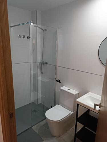 马拉加APARTAMENTOS LOS GUINDOS的一间带卫生间和玻璃淋浴间的浴室