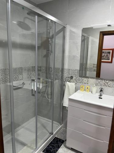 阿尔姆尼卡Hotel Plaza Damasco的带淋浴和盥洗盆的浴室