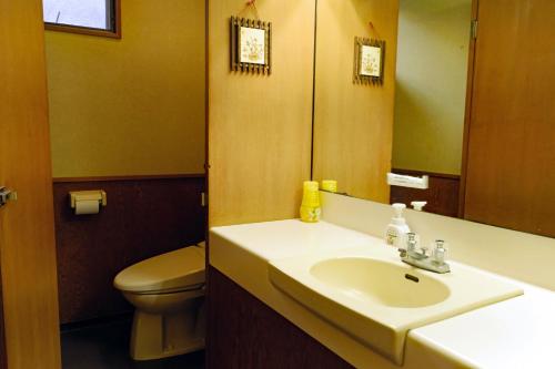 箱根温泉山庄酒店的一间浴室