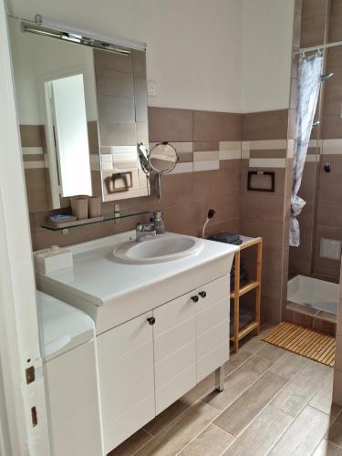 兰斯L'entre deux Eaux 'Maison' Balcon 'et Jardin的浴室设有白色水槽和镜子