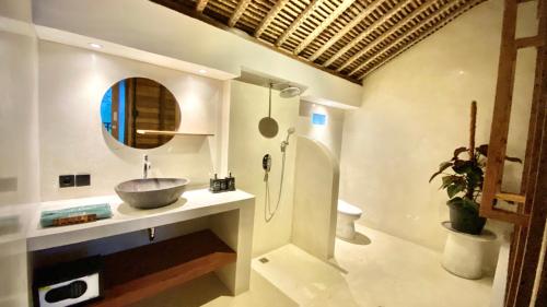 乌布Villa Sawah Ramah的一间带水槽和镜子的浴室