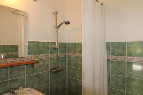 维斯比斯奈克附楼酒店的带淋浴和盥洗盆的浴室