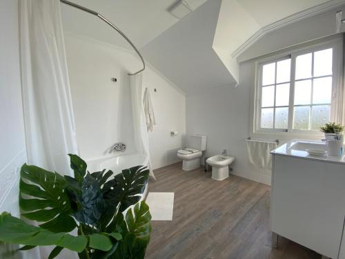 坎加斯德穆拉索"A Marosa", bonito chalet dúplex的一间带卫生间、水槽和植物的浴室