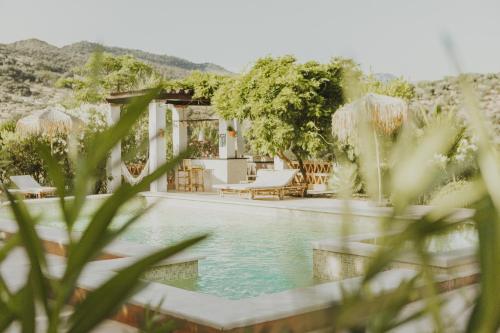 普里埃格·德·科尔多巴Hacienda el Tarajal的一个带椅子的游泳池,一个度假胜地