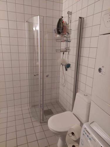 奥斯陆Shared apartment, Down Town Oslo, Osterhaus'gate 10的带淋浴和卫生间的白色浴室
