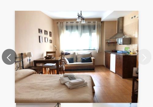 哈兰迪雅·德·拉·维尔Estudio con cocina y baño privado的一间带一张床的房间和一个带沙发的厨房