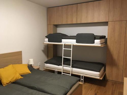 FilipoviceApartmán u sjezdovky的客房设有两张双层床和一张床。
