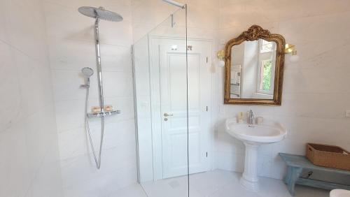 BouxwillerChambres d'Hôtes du Marché aux Grains的带淋浴、盥洗盆和镜子的浴室