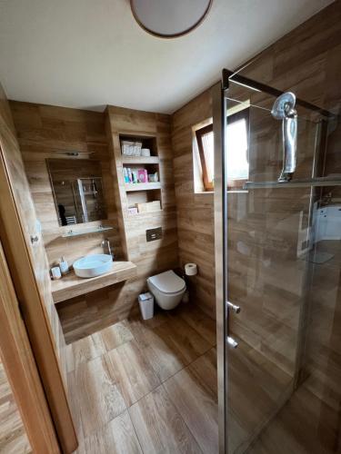 VelharticeChata Nechata的一间带卫生间和玻璃淋浴间的浴室