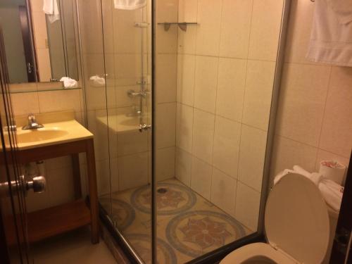 库尔克岛Caye Caulker Plaza Hotel的带淋浴、卫生间和盥洗盆的浴室