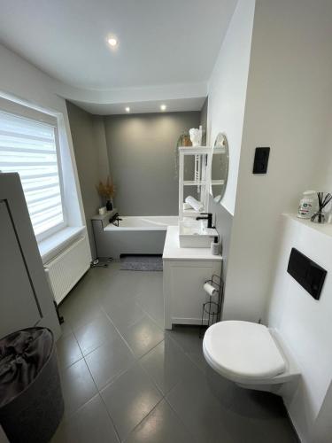 利耶帕亚Brother street apartment的浴室配有卫生间、盥洗盆和浴缸。
