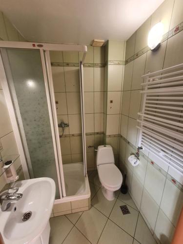 亚斯塔尔尼亚Villa REJS Jastarnia的浴室配有卫生间、淋浴和盥洗盆。
