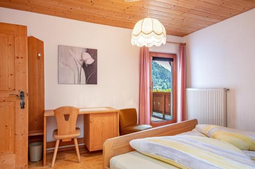 科尔皮缇亚Gamperhof Apartment Planet的一间卧室配有一张床、一张书桌和一个窗户。