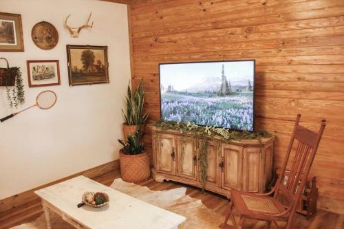 欧佩莱卡The Greenhouse Cozy Cottage- Walk to Downtown!的客厅设有木墙,配有平面电视。