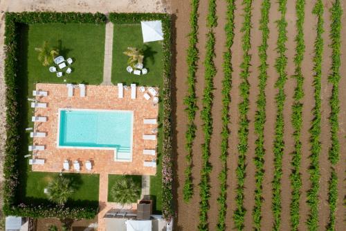 阿尔卡莫Alle Vigne Affittacamere的享有带游泳池的田野房屋的顶部景色