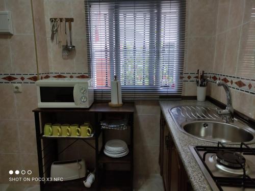 贝赫尔-德拉弗龙特拉El Pozo的一间带水槽和微波炉的小厨房