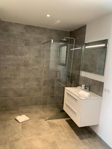 菲加里DOMAINE NAPOLEON CORSICA FIGARI的带淋浴、水槽和玻璃淋浴的浴室