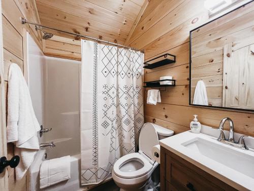 HartwellCabin 2 One Bedroom W Kitchen的浴室配有卫生间、淋浴和盥洗盆。