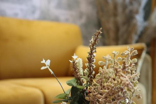 沙勒维尔-梅济耶尔Le Bohème的坐在黄色沙发旁的一束鲜花