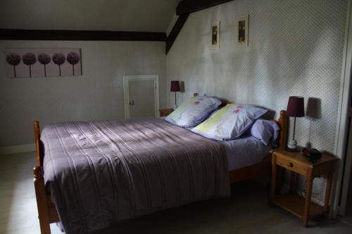 ChaptelatChambre d'Hôtes Les Chênes的一间卧室配有一张床和一张带两盏灯的桌子。