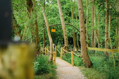 霍利韦尔Emlyn's Coppice - Luxury Woodland Glamping的森林中一条木栅栏的小路
