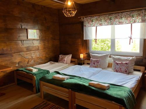 扎科帕内Mała Bawaria的带窗户的客房内设有两张单人床。