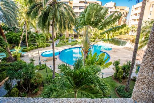 PampatarSerena apartamento vacacional的棕榈树度假村泳池的空中景致