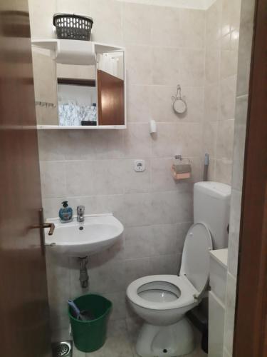 洛帕Apartmani Ana-Lora的一间带卫生间和水槽的小浴室
