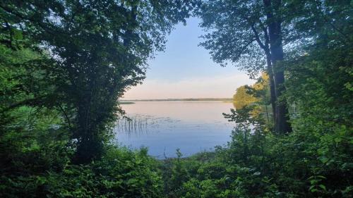 比斯库佩茨Oleandria-,, Domek Jagódka "nr 28的透过树林欣赏湖泊美景