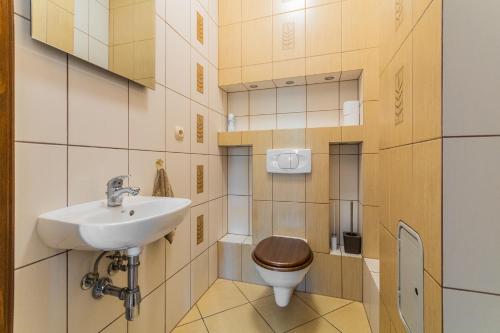 Golden Home Kmiecin的一间带卫生间和水槽的浴室
