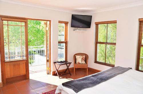 斯泰伦博斯Penelope's Stellenbosch的卧室配有一张床,墙上配有电视。