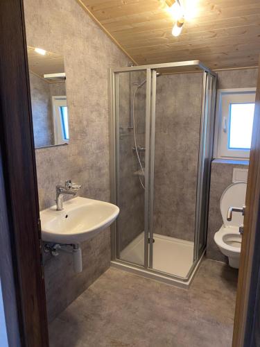 Renanla Cibourg, Centre de vacances的带淋浴、盥洗盆和卫生间的浴室