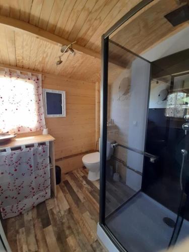 Roquefort-de-SaultLe Ranch du Madres的带淋浴和卫生间的浴室。