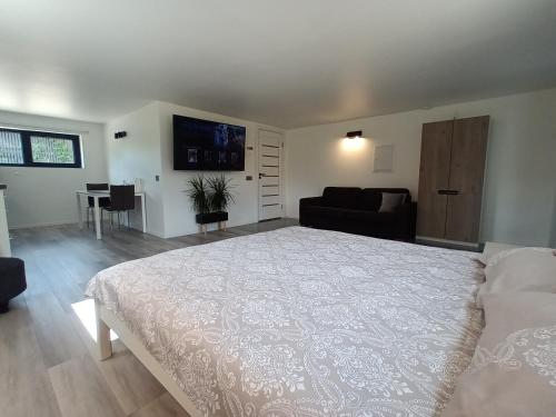 塔尔图Luxury Apartment Private House and Parking Netflix的卧室配有一张白色的大床和一张沙发。