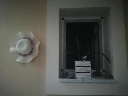 波塔莫斯A quiet room的窗边墙上的白 ⁇ 