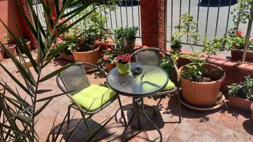 内塞伯尔Adri Guest House的庭院里种有植物的桌椅
